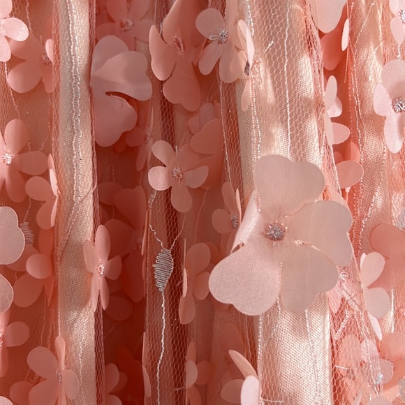 NWOT southern fried chics maxi dress. Never worn. - Picture 4 of 8